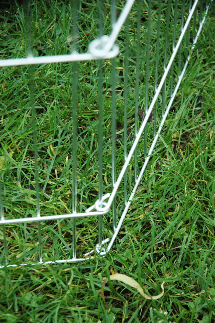 dobar Freilaufgehege